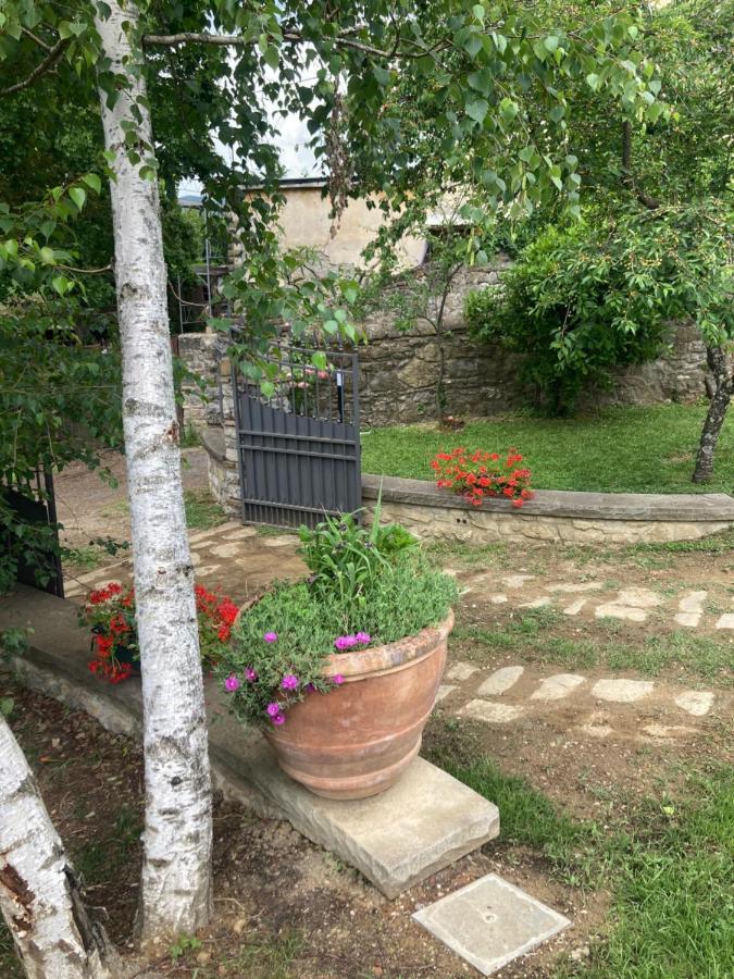 Вилла “Da Paolino” Borgo alla Collina Экстерьер фото
